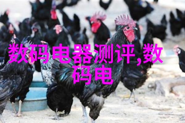 我是谁我的秘密武器如何挑选最靠谱的贮存设备