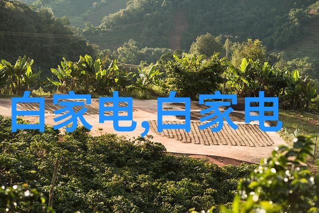 空压机油水分离器安装指南让你不再是泵上学问