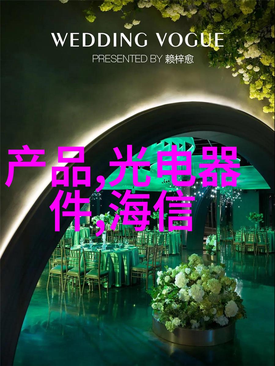 天津摄影器材城我在天津的摄影奇遇寻找那份拍出精彩的秘密