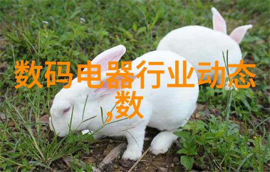 防水补漏技巧守护您的家园安全与美丽