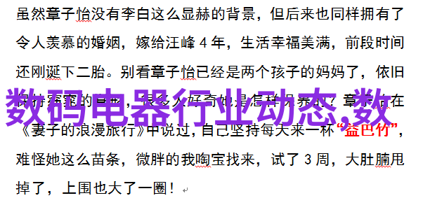 1吨燃气蒸汽发生器高效能热源系统的核心组件
