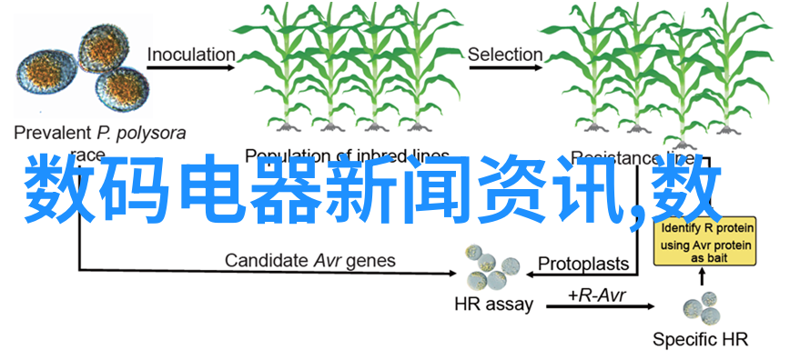 热风干燥技术的进步与应用概述