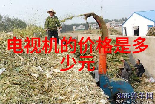 水源之心清泉泵的守护者