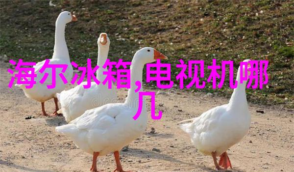 江湖纷扰刀光剑影
