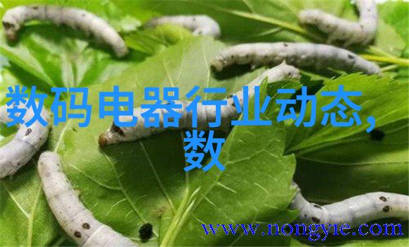 水利工程与管理类有哪些专业我来告诉你水利大作从河堤到调度系统你能了解多少