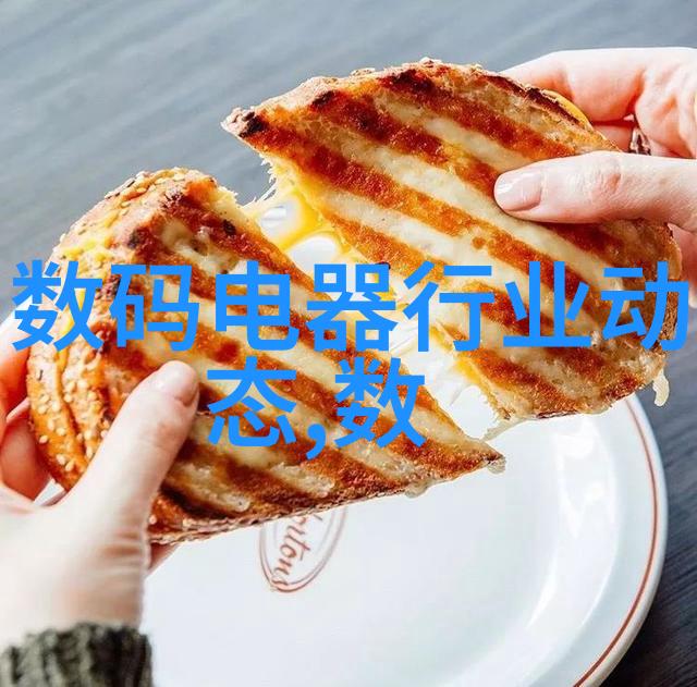 鲍尔环填料安装图解