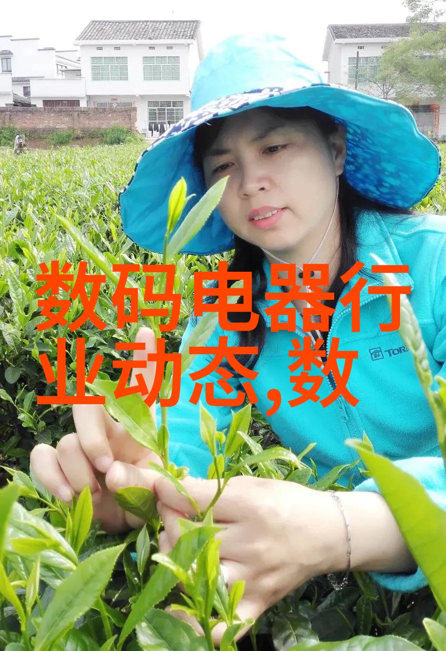 防水处理方法以延长使用寿命