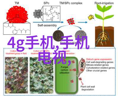 收楼验房我是如何通过一目了然发现潜在问题的