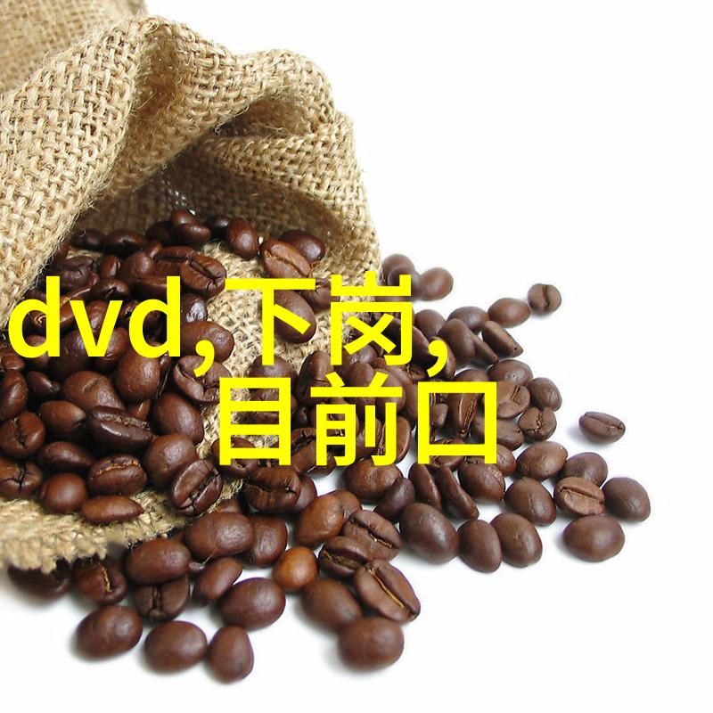 国际摄影教程街头光影记事