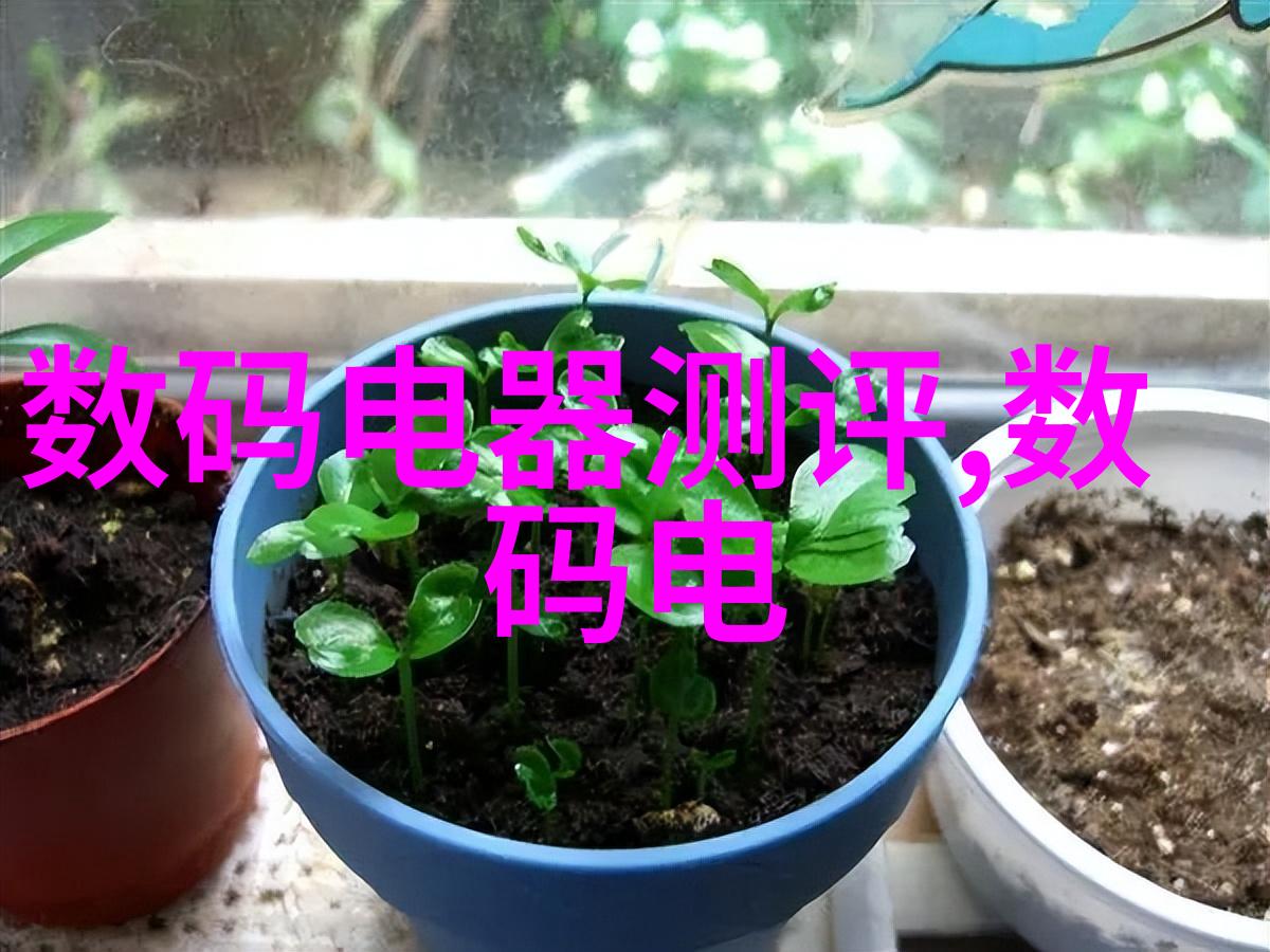 探索138大但人文艺术豆瓣的魅力与意义