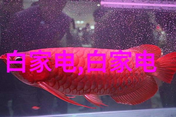 水之谜检测值背后的秘密
