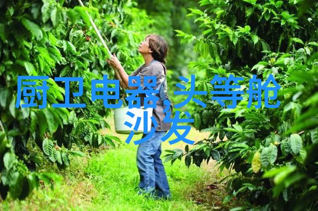 铲土者之翼挖掘机配件的奇迹与挑战