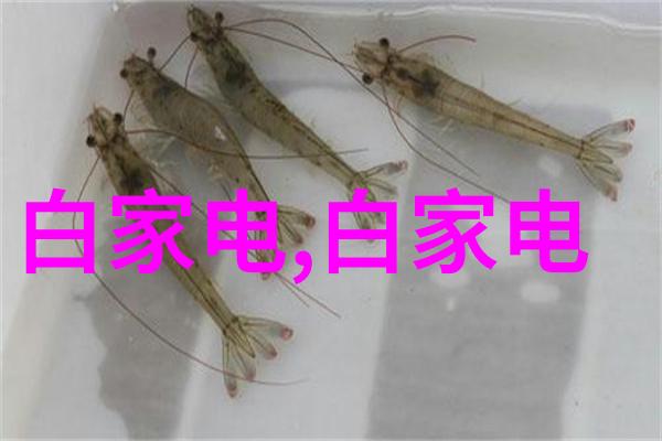 我想知道国产芯片你能相信吗