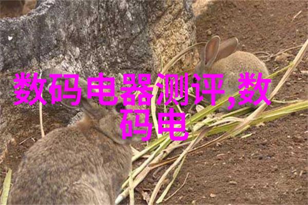 在家创业的迷雾中你是否能找到那道通往成功之门的钥匙