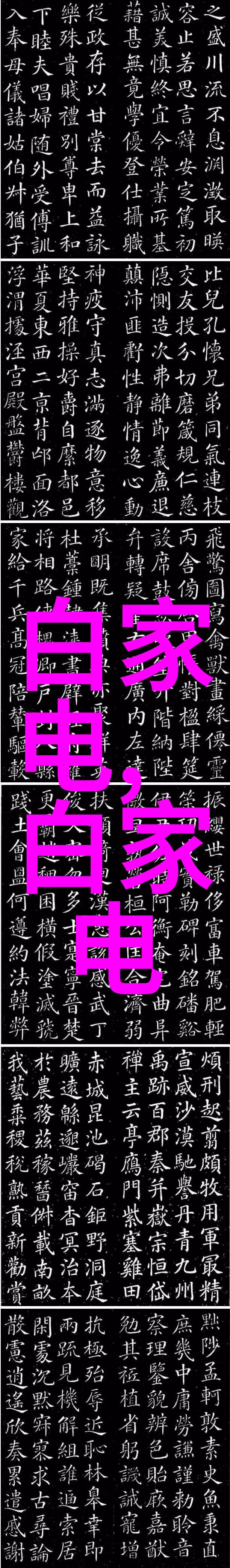 蒸汽之源探索电加热的秘密世界