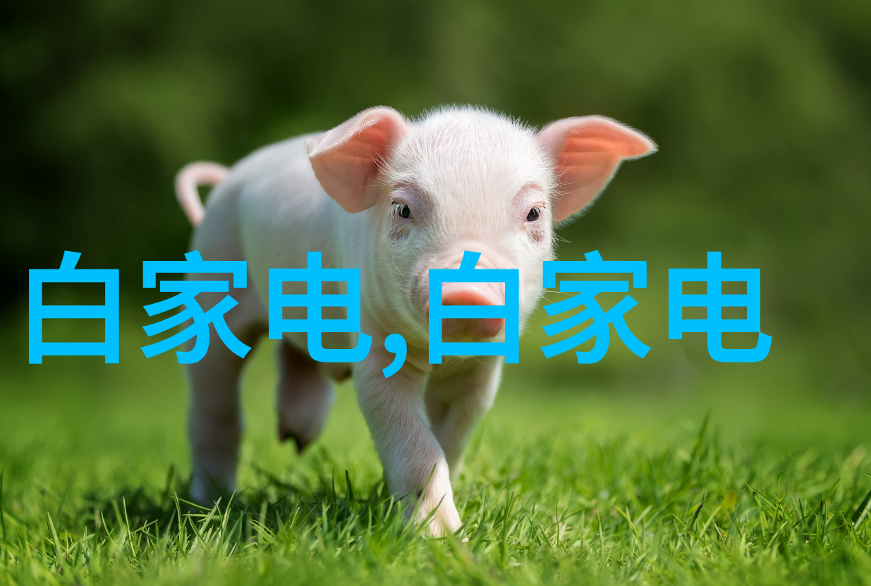 管材种类概览与应用分析