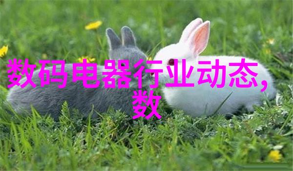 铜铁分离机器设备我来告诉你一个超级简单的方法让废弃的铜和铁彻底分开