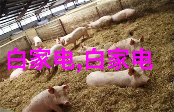 构建奇迹塔尖上的语言游戏