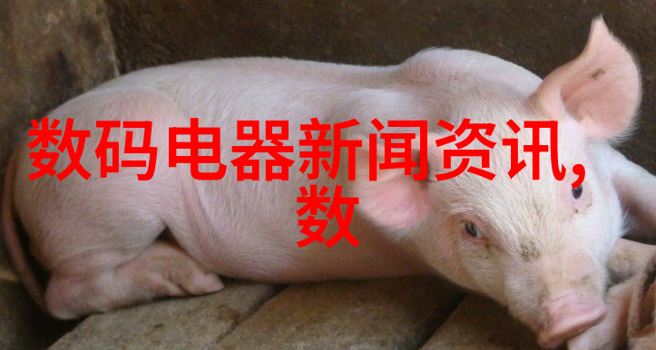 给水管材种类-管道选择指南铜PVCPPR与PE的区别与应用