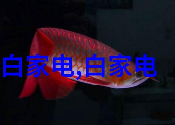 不锈钢制造的关键材料含钛铬镍