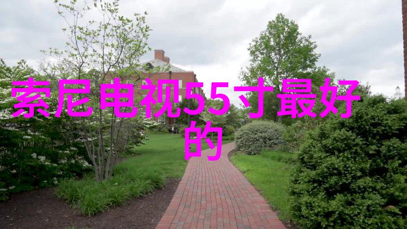 OPPO新品发布革新科技创意无限