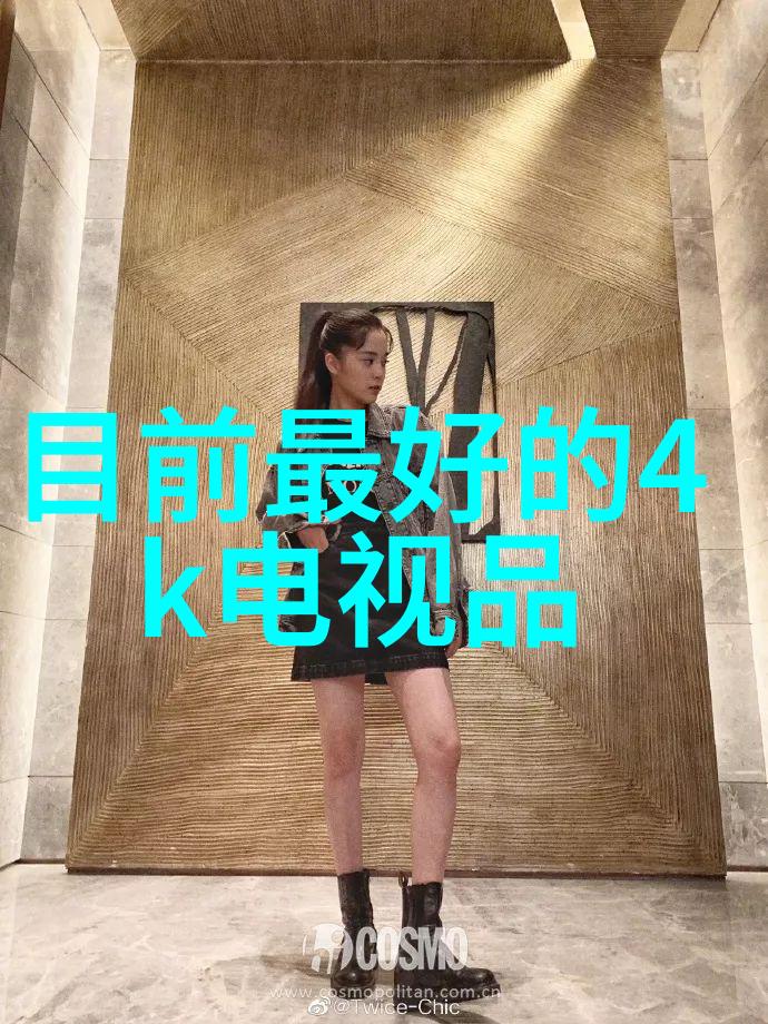 冰柜冷冻艺术揭秘最佳档位的秘密