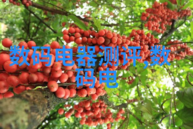 对未来我们可以预见国家将如何进一步加强对此类危险行业的监管力度