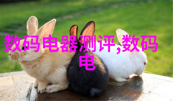 三相电多功能粉碎机如何清洁和维护以延长其使用寿命