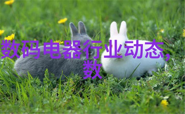 潘家园古玩市场-探秘潘家园一场穿越时空的古玩奇遇