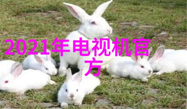 西南财经我在西南财经大学的四年时光从书呆子到行业新人