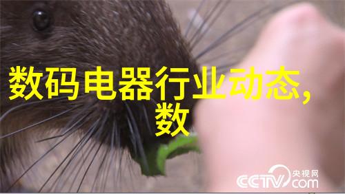 爱可儿的秘密花园我是如何发现爱可儿的秘密花园的