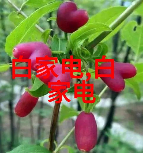 校园隐蔽角落学校深处的安静避风港