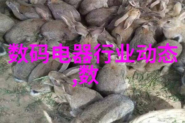 安全之轮刹车分泵的守护者