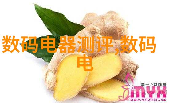 投资计划书与可行性研究报告策略与实践的结合
