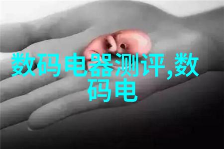 重量的守护者检重机的精确之心