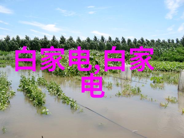 在安装过程中我该如何确保正确地放置dn50金属环矩鞍填料hetp