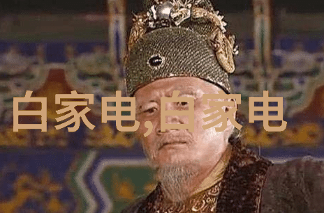 粉煤灰分选机智能化与节能的双刃剑