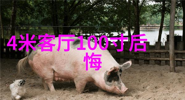 如何正确安装和维护铝单板以延长其使用寿命