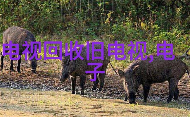 不锈钢304价格走势分析一米多少钱