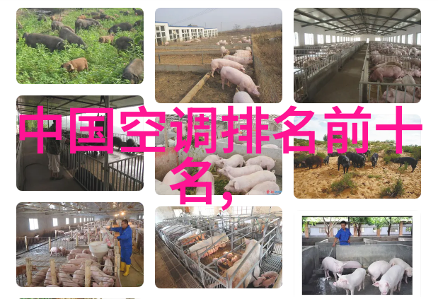 办公室装修大作战从0到120平的钻石级设计