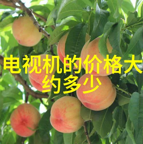 开太多档会不会让冰箱过度耗电增加夏日用电成本