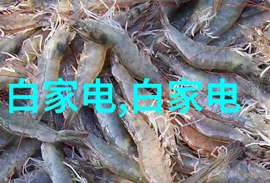 工业材料-bx500型丝网波纹填料优化工程塑料应用的新选择
