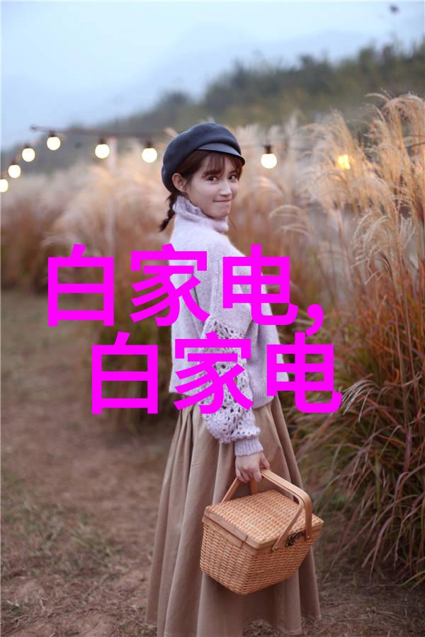 关关于西南财经政法大学的创新能力有何成果展示