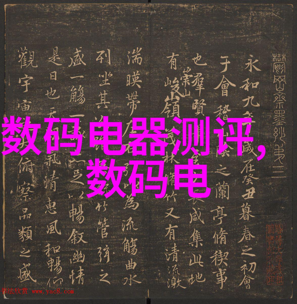 波纹之韵填充时尚的T形魅力