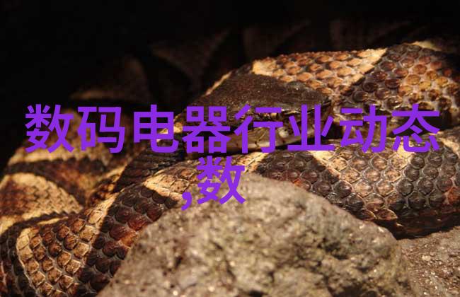 商业变革-华联股份未来命名战略2023年将发生重大更名变化吗