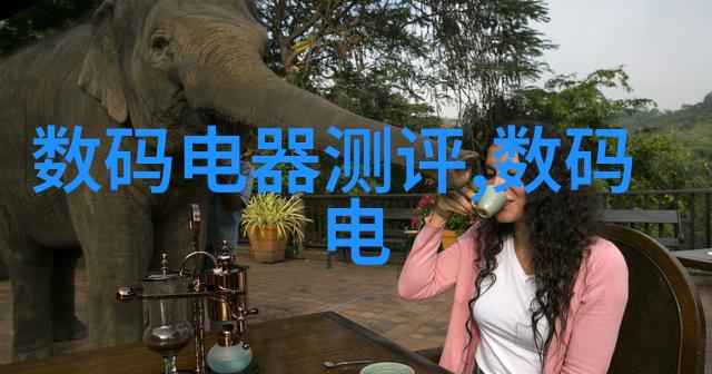 选择实木家具体验自然之美