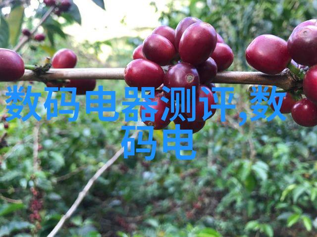 企业办公空间的智慧布局如何通过公司设计装修提升团队效率与创造力