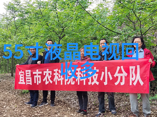 有效沟通技巧在一年结束时如何正确地展示你的成就和挑战之路