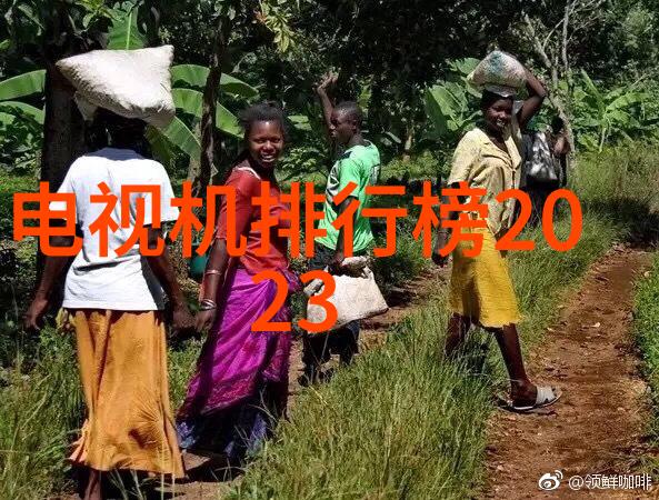 成都航空职业技术学院翱翔梦想的学术航道