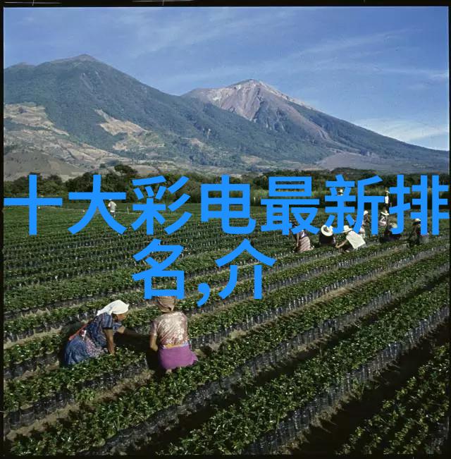 疯狂车后座创意汽车改装的无限可能